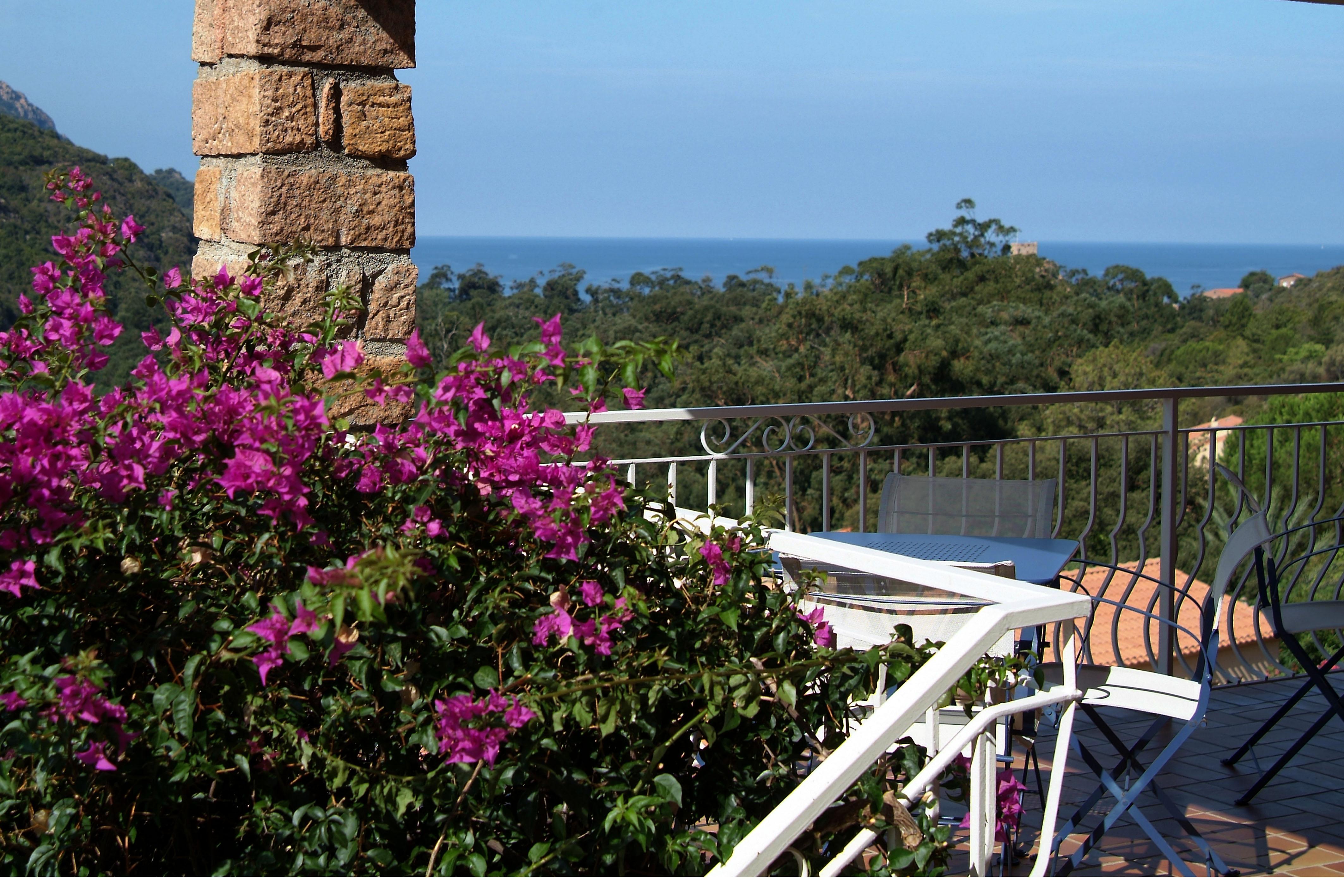 Capo D'Orto - Porto - Corse Hotel Exterior foto