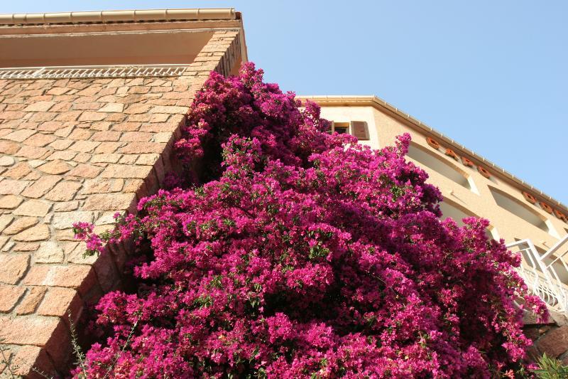 Capo D'Orto - Porto - Corse Hotel Exterior foto